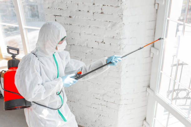 Best Forensic Mold Investigation  in Medford, WI