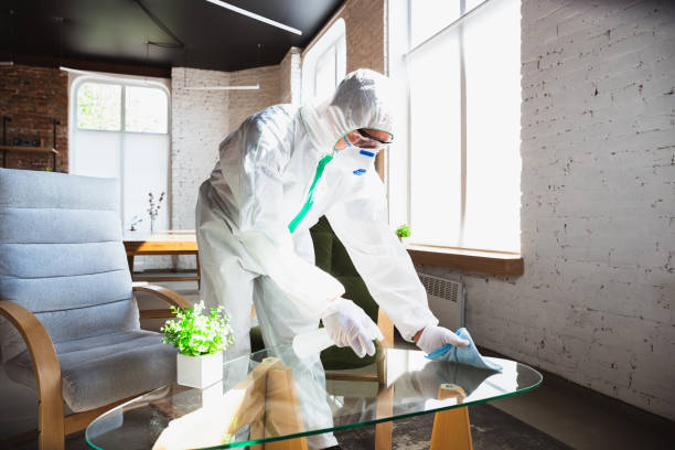 Reliable Medford, WI Mold Removal & Remediation Solutions